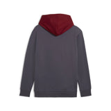 Sudadera hombre PUMA 69 Gris